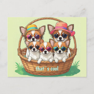 Chihuahua Coole Welpen Postkarte