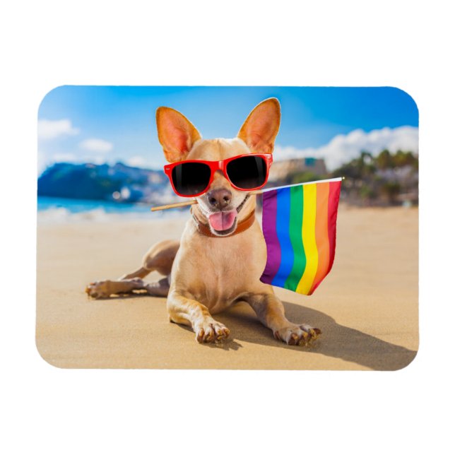 Chihuahua Dog am Strand Magnet (Horizontal)