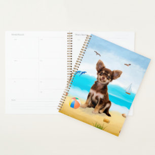 Chihuahua Dog am Strand Planer