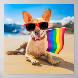 Chihuahua Dog am Strand Poster