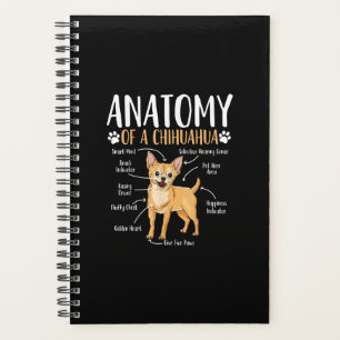 Chihuahua-Dog-Anatomie Planer