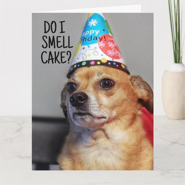 CHIHUAHUA DOG FUNNY BIRTHDAY CARD DANKESKARTE (Vorderseite)