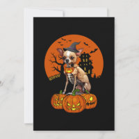 Chihuahua Dog Halloween