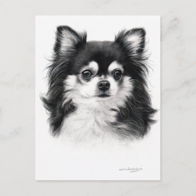 Chihuahua Dog Handgemälde Postkarte (Vorderseite)