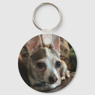 Chihuahua Dog Key Chain Schlüsselanhänger