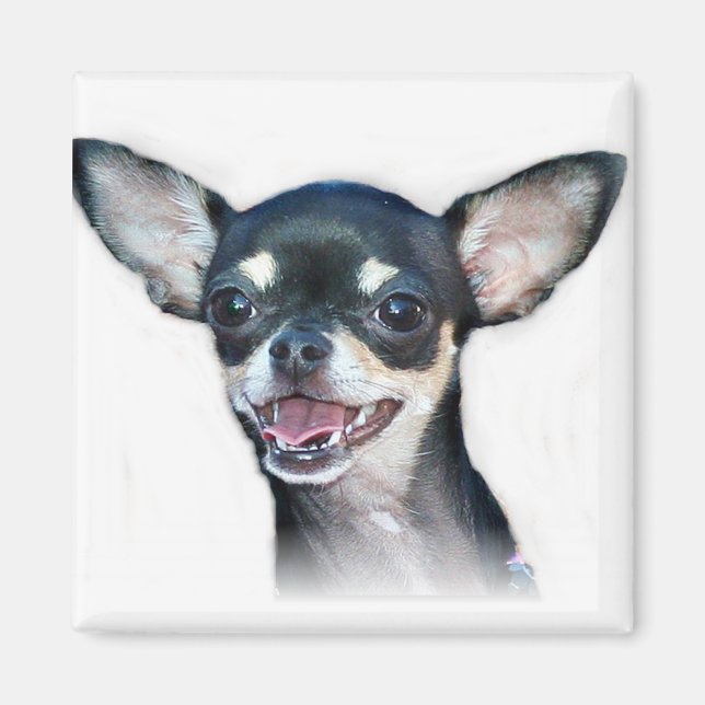 Chihuahua dog Magnet (Vorne)