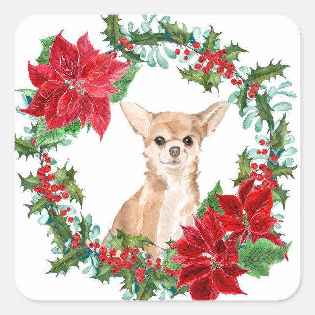 Chihuahua Dog Poinsettia Weihnachtsschaden Quadratischer Aufkleber (Vorderseite)
