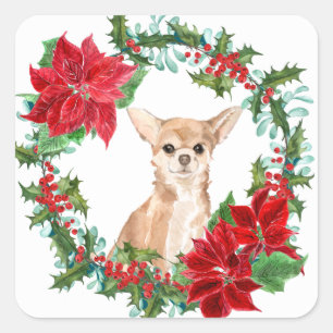 Chihuahua Dog Poinsettia Weihnachtsschaden Quadratischer Aufkleber