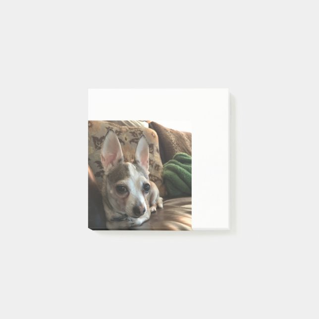 Chihuahua Dog Post it Notes Post-it Klebezettel (Vorderseite)