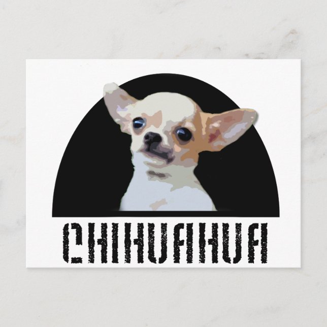 Chihuahua Dog Postkarte (Vorderseite)