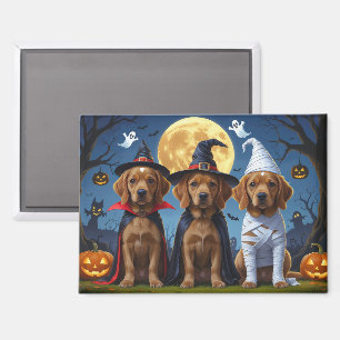 Chihuahua Dog Pumpkin Halloween Funny Magnet