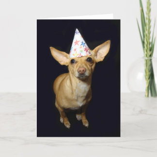 Chihuahua Dog Teil Hat Geburtstag Grußkarte Karte