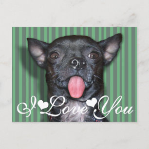 Chihuahua Dog Tongue I Liebe You Postkarte