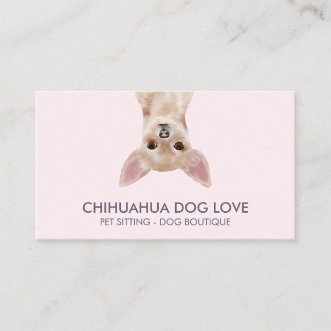 Chihuahua Dog Visitenkarte (Vorderseite)