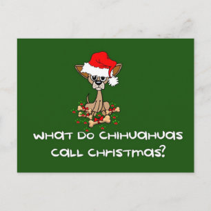 Chihuahua Dog Weihnachten