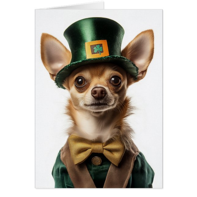 Chihuahua Dressed Leprechaun St Patrick's Day (Vorne)