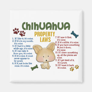Chihuahua-Eigentums-Gesetze 4 Magnet