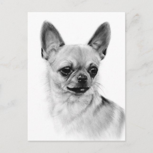 Chihuahua Expression Hand bemalt Artwork Postkarte (Vorderseite)