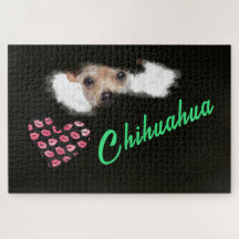 Chihuahua Eyes mit kurzer Haarfarbe