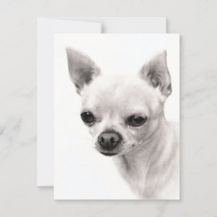Chihuahua Face Study Hand Painted Artwork Postkarte