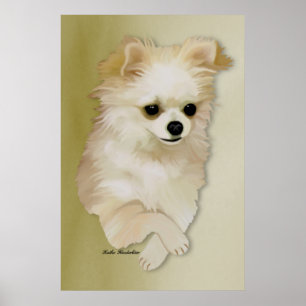 Chihuahua Fawn Puppy Poster