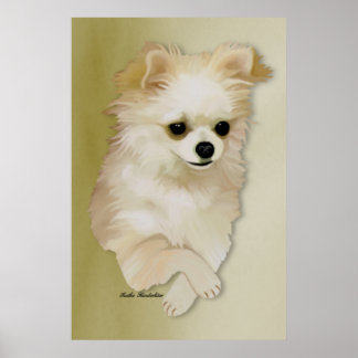 Chihuahua Fawn Puppy Poster