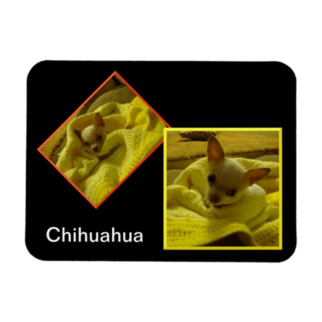 Chihuahua Flexible Foto Magnet (Horizontal)
