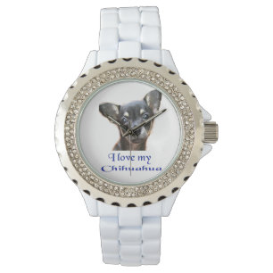 Chihuahua Frauen beobachten Armbanduhr