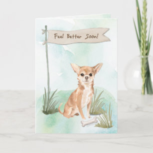 Chihuahua fühlen sich nach der Operation besser Karte