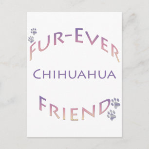 Chihuahua Furever Postkarte