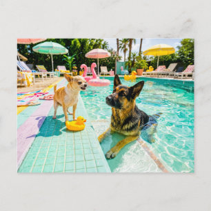 Chihuahua gegen Schäferhund-Ente Postkarte