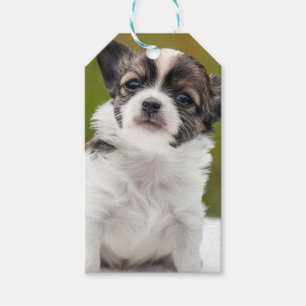 Chihuahua Geschenkanhänger