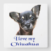 Chihuahua-Geschenke