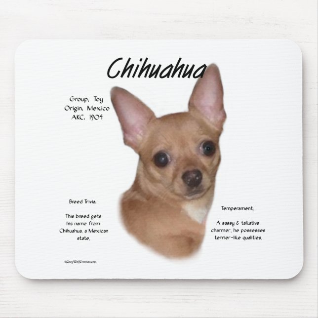 Chihuahua (glatt) Geschichtsdesign Mousepad (Vorne)