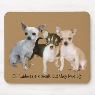 Chihuahua-glückliches Trio Mousepad