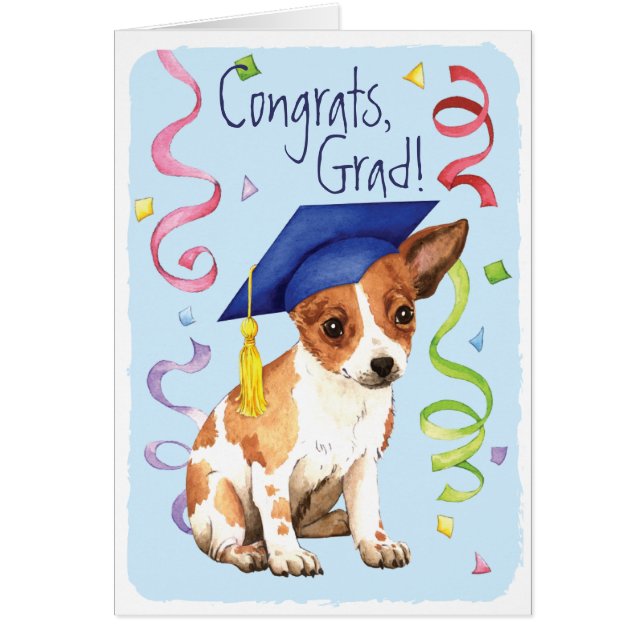 Chihuahua Graduate (Vorne)