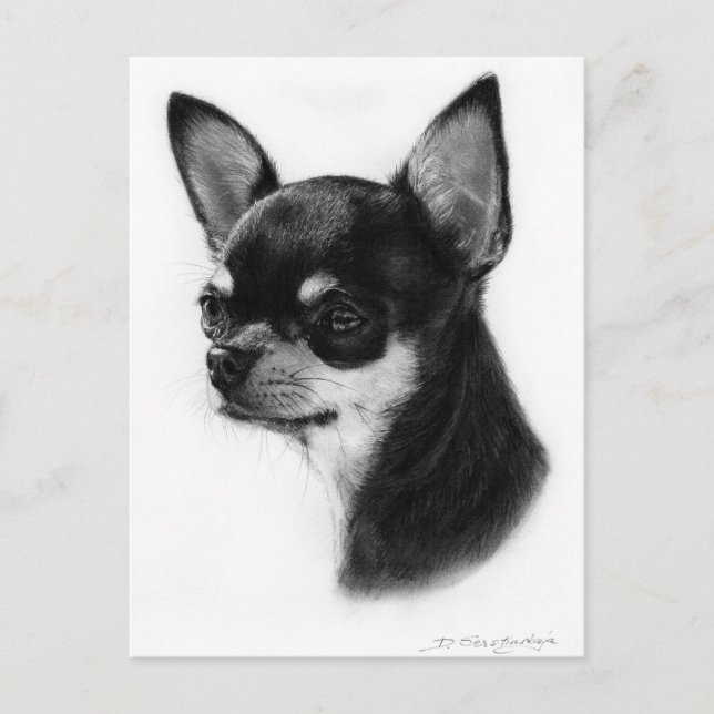 Chihuahua Handgemälde Postkarte (Vorderseite)