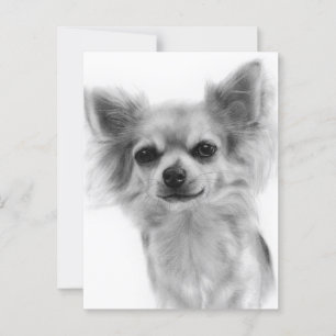 Chihuahua Handgemalt Hundekunstwerk Postkarte