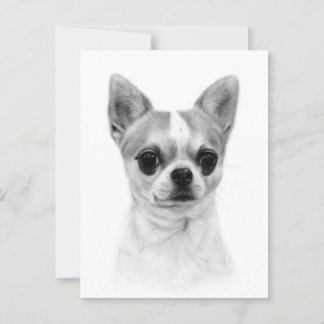 Chihuahua - Handgemalte Hausarbeit Postkarte