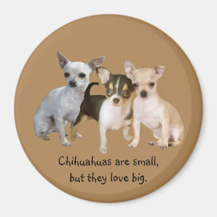 Chihuahua Happy Trio Magnet