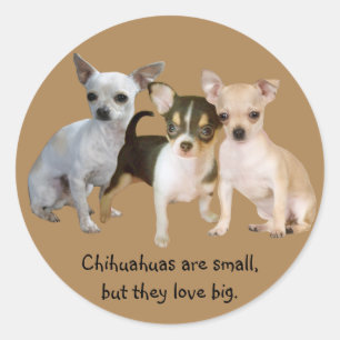 Chihuahua Happy Trio Sticker