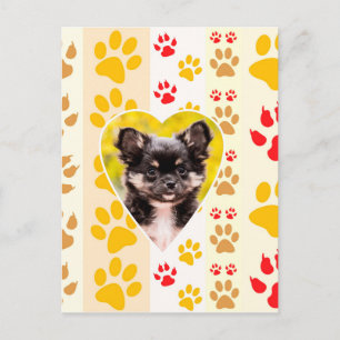 Chihuahua Heart Paw Prints Postkarte