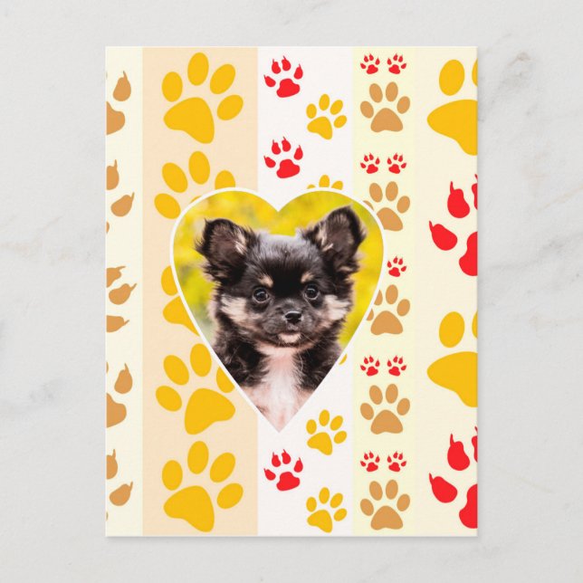 Chihuahua Heart Paw Prints Postkarte (Vorderseite)