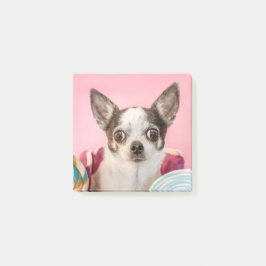 Chihuahua Hund auf rosa Post-it Klebezettel