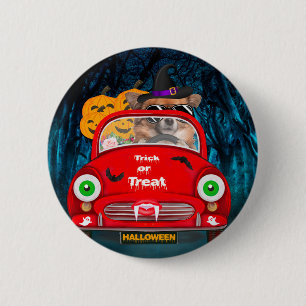 Chihuahua Hund fährt Auto Gruselig Halloween Wurf Button