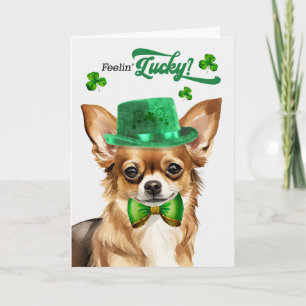 Chihuahua Hund fühlt sich am St. Patrick's Day glü Feiertagskarte