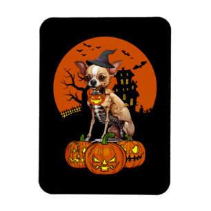 Chihuahua-Hund Halloween Magnet