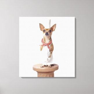 Chihuahua Hund mit Koch Weißen, Studio-Shot Leinwanddruck