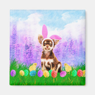 Chihuahua Hund mit Ostereiern Bunny Chicks Magnet