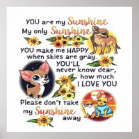 Chihuahua Hund Sie sind Sunshine | Hunde Sunshine